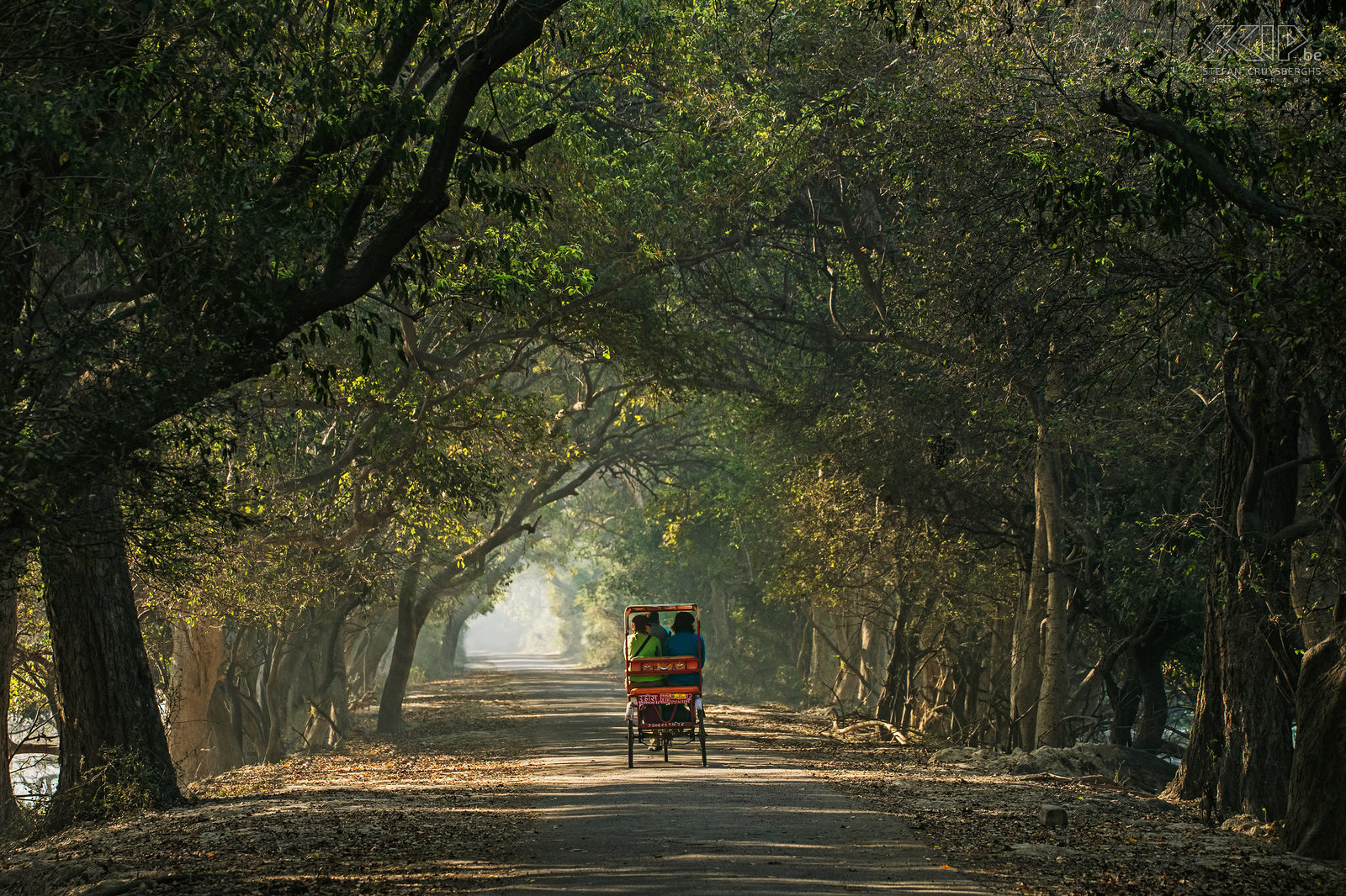 Keoladeo - Rickshaw A lonely rickshaw in Keoladeo national park. It is advisable to hire a cycle rickshaw with driver to explore the park. Stefan Cruysberghs